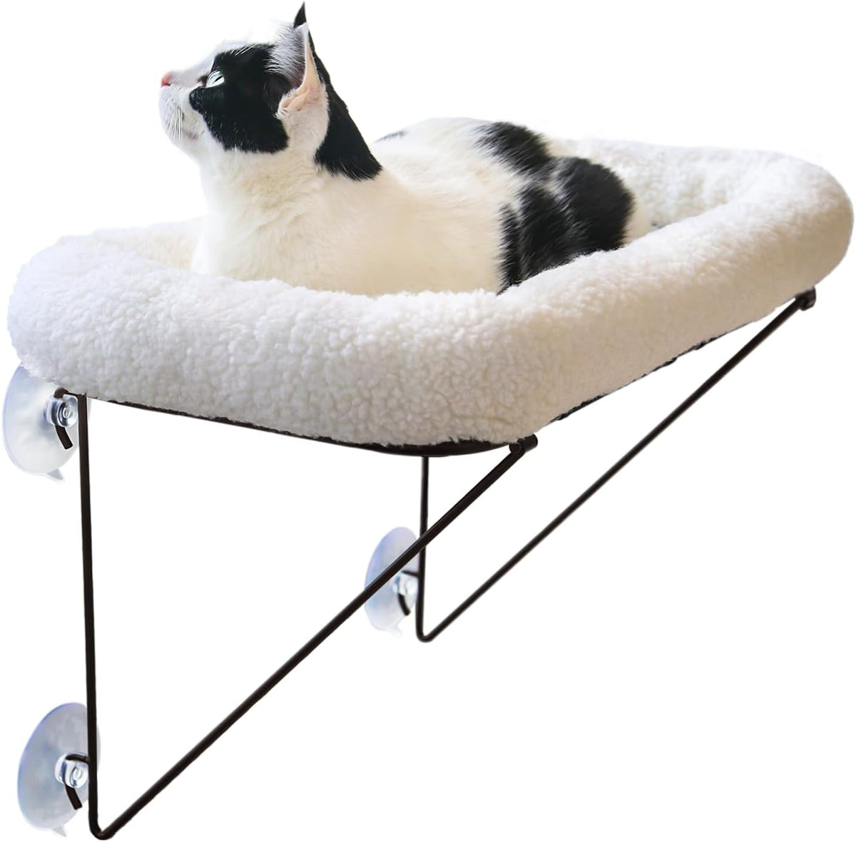 Zakkart Cat Window Perch, 100% Metal Supported from Below – Essentials for Cats - White - image 4