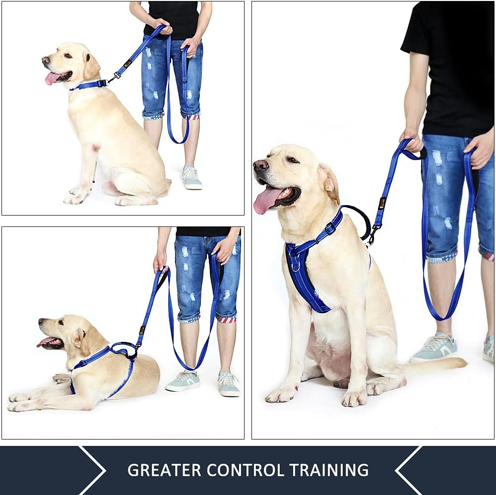 Plutus Pet Double Handle Dog Leash, for Medium Large Dogs - 6 FT / Navy Blue - image 3