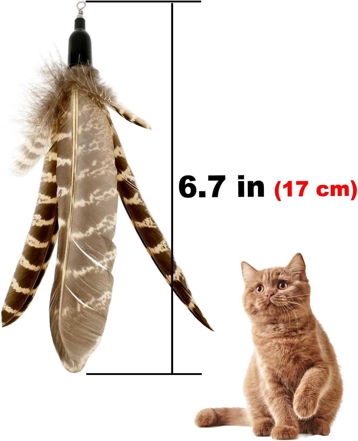 Cat Feather Toys Refills, 6 Pieces Handmade Da Bird Feathers Refill, Cat Wand Replacement Feather - C-6 Pieces Feather Refills - image 4