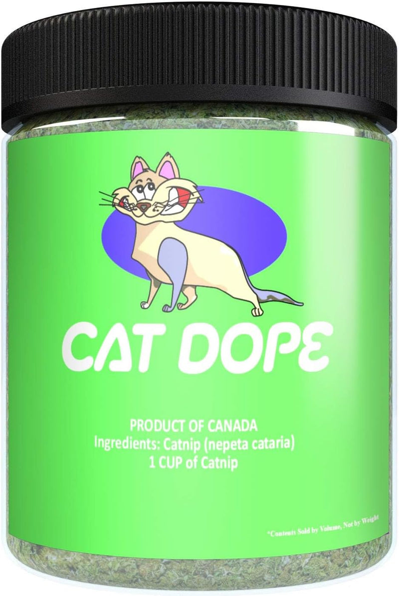 Catnip, 100% Natural Cat Nip Blend That Energizes and Excites Cats – Essentials for Cats