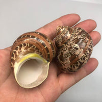 PEPPERLONELY 2 PC Hermit Crab Shells, Turbo Shells - 4#. Brown, 2 Inch ~ 2-1/4 Inch - image 3