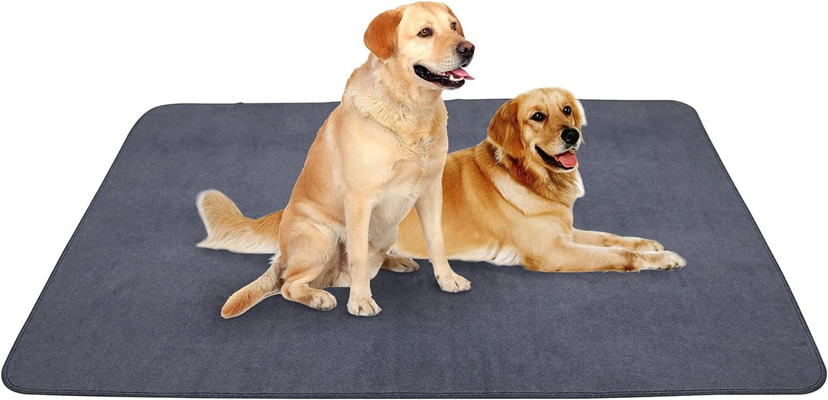 2Pack 36"x36" Pee Pads Washable Waterproof Rugs for Dog Training – Essentials for Dogs - 72x72 Inch (Pack of 1)