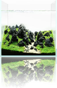 Fzone 7 Gal Rimless Low Iron Fish Tank Nova Clear Ultra-White 45° Mitered Edges Translucent Glass Anata Series Aquarium w/Black Foam Leveling Mat(S30C)
