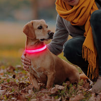 Light Up Collar for Small Dogs& Cats - M (15.0-19.7inch/ 38-50cm) / Pink - image 2