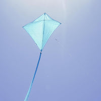 In the Breeze 3325, Coconut 30 Inch Diamond Kite, Solid White - Blueberry - image 2