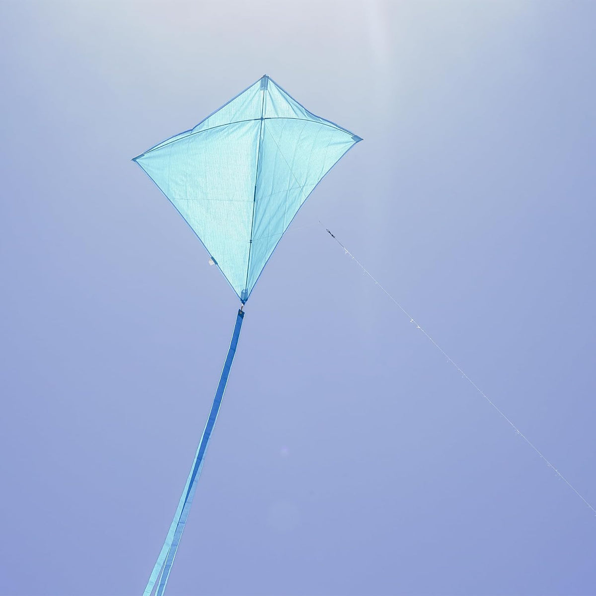 In the Breeze 3325, Coconut 30 Inch Diamond Kite, Solid White - Blueberry - image 2