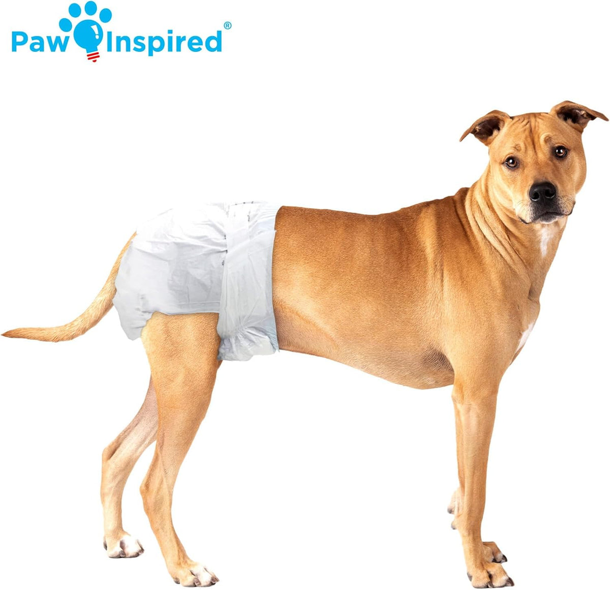 Paw Inspired 32ct Disposable Dog Diapers - Medium+ (32 Count) - image 4