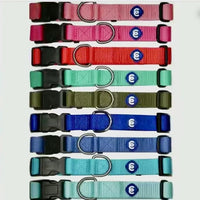 Blueberry Pet Essentials Adjustable Dog Collar in Turquoise | Dog Collars for Medium & Large Dogs | Eco-Friendly Nylon for Boy & Girl Puppies | Stylish & Durable for The Eco-Conscious