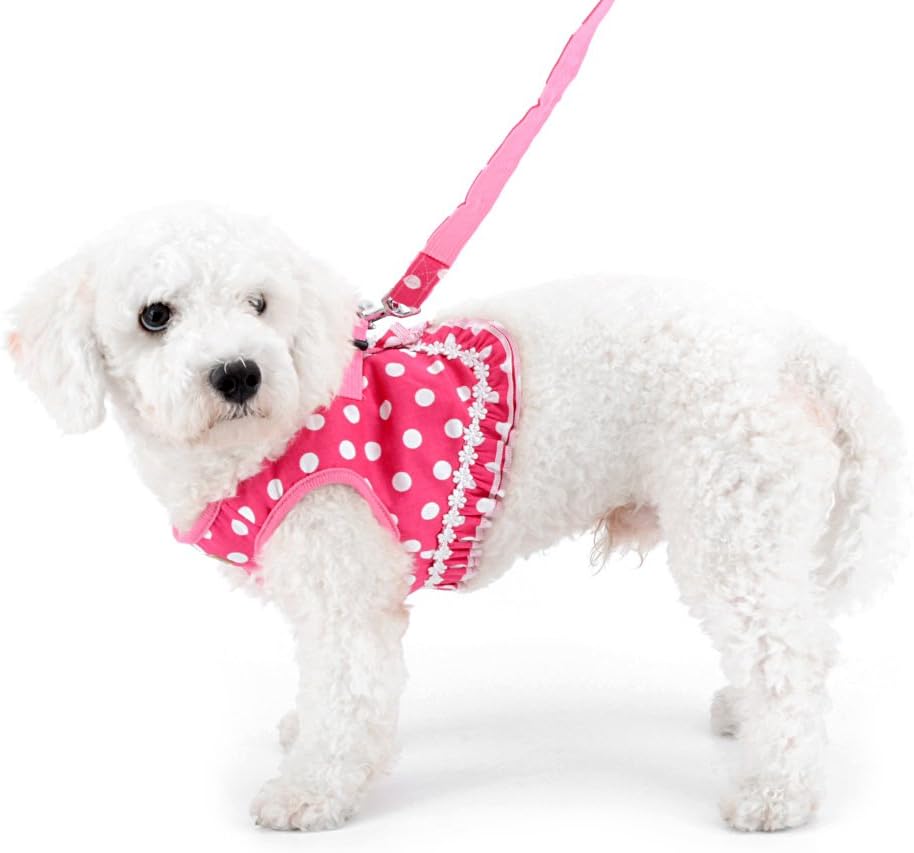 Step-in Dog Harness and Leash Set for Small Dogs - XL / pink - image 3