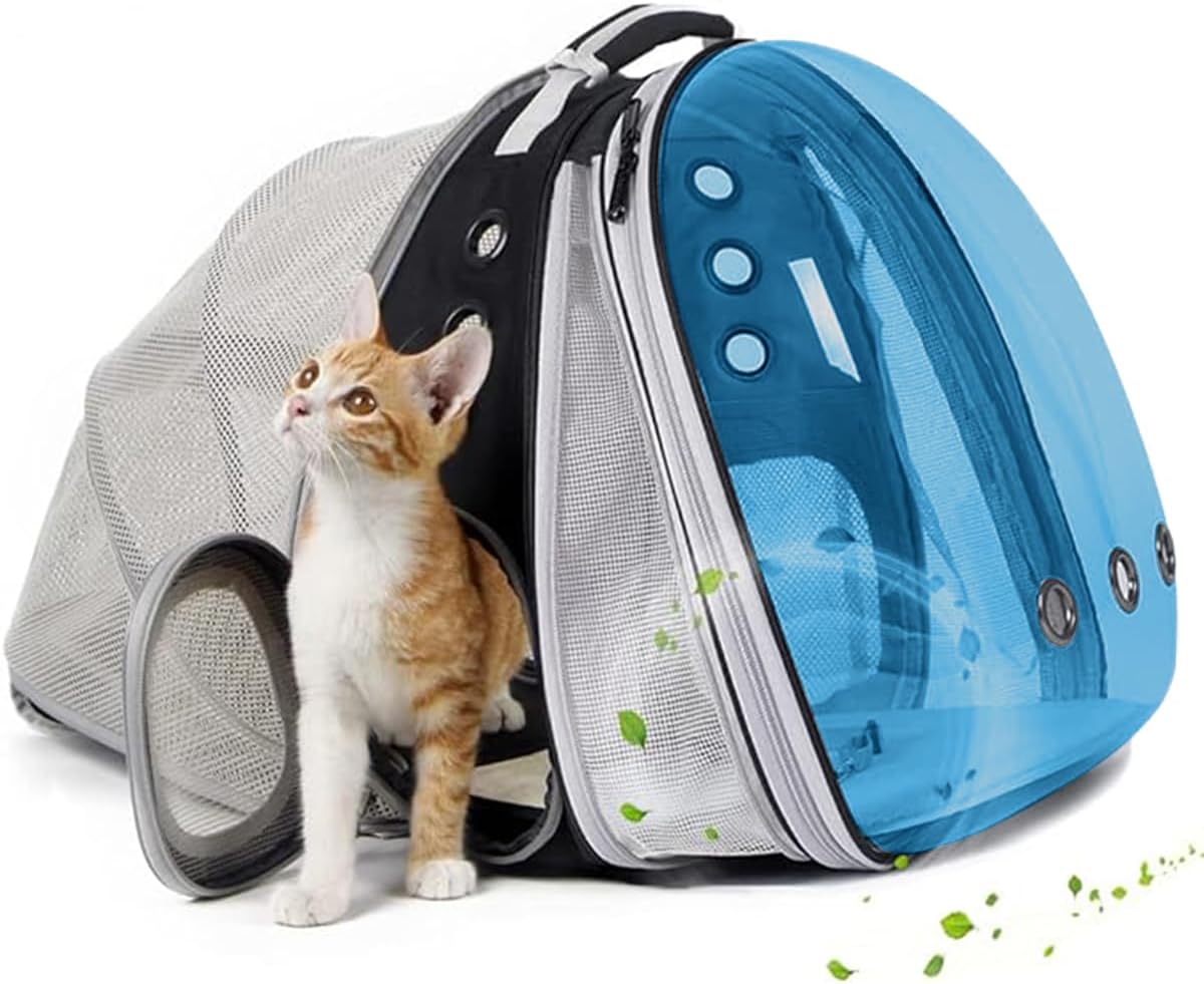 Dual Expandable Large Cat Backpack Carrier – Essentials for Cats - Blue / Tint Window