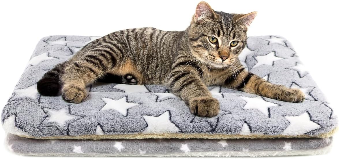 2 Pack Cat Blanket for Indoor Cats - Stars / 18X13 in