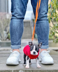 Gooby Stretch Fleece Vest Dog Sweater - Medium Length (11.5") / Red - image 3