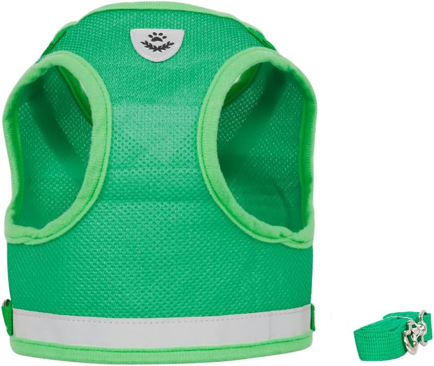 FEimaX Dog Harness and Leash Set for Walking - Green / Medium - image 2