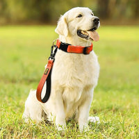 PLUTUS PET 10” Short Dog Leash, Reflective Nylon Padded Handle, Strong Traffic Leash with Carabiner Clip, Perfect for Large or Medium Dogs（10”，Orange
