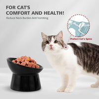 Elevated Cat Bowls, 15° Tilted Ceramic Cat Food Bowl - Black / Large - image 3