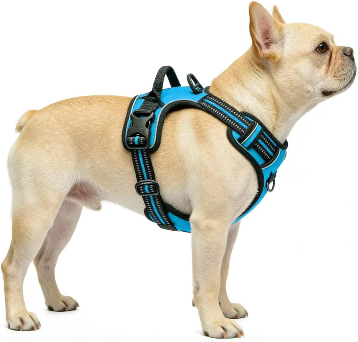 Blue No-Pull Dog Harness with 2 Leash Clips，Soft Padded Vest - Large / Blue - image 2