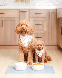 Remy+Roo Silicone Dog Food Mat for Pet Bowls - Dusty Blue - image 2