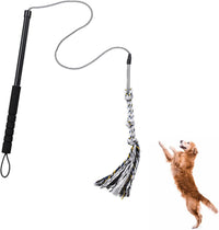 Pragmatist Outdoor Flirt Pole for Dog