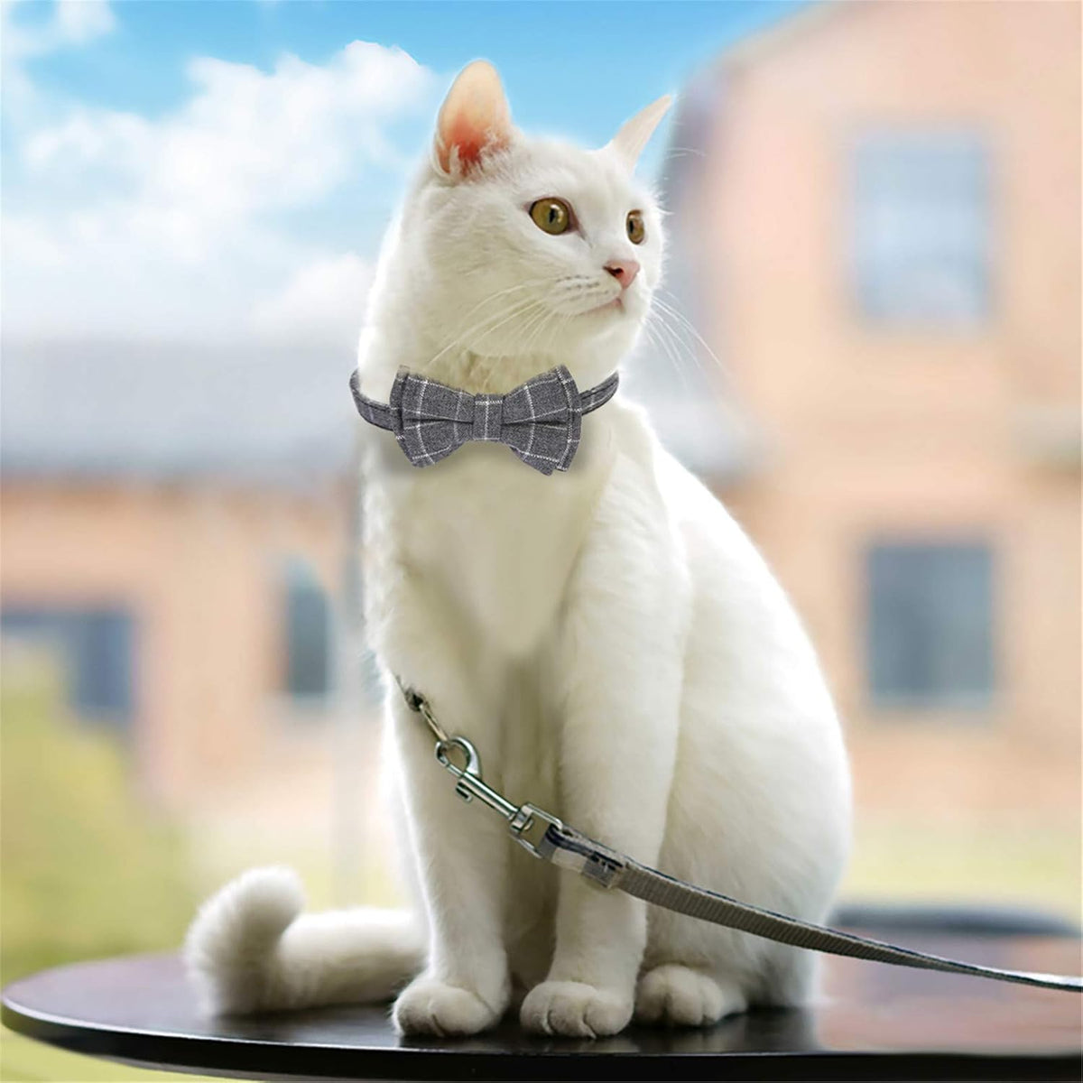 SLSON 2 Pack Breakaway Cat Collar with Bell and Bow Tie Plaid Kitten - image 2