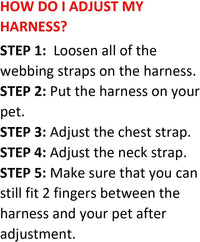 Best Pet Supplies Voyager Step-in Air All Weather Mesh Harness - Harness Leash Set (Blue) / M (Chest: 16 - 18") - image 2