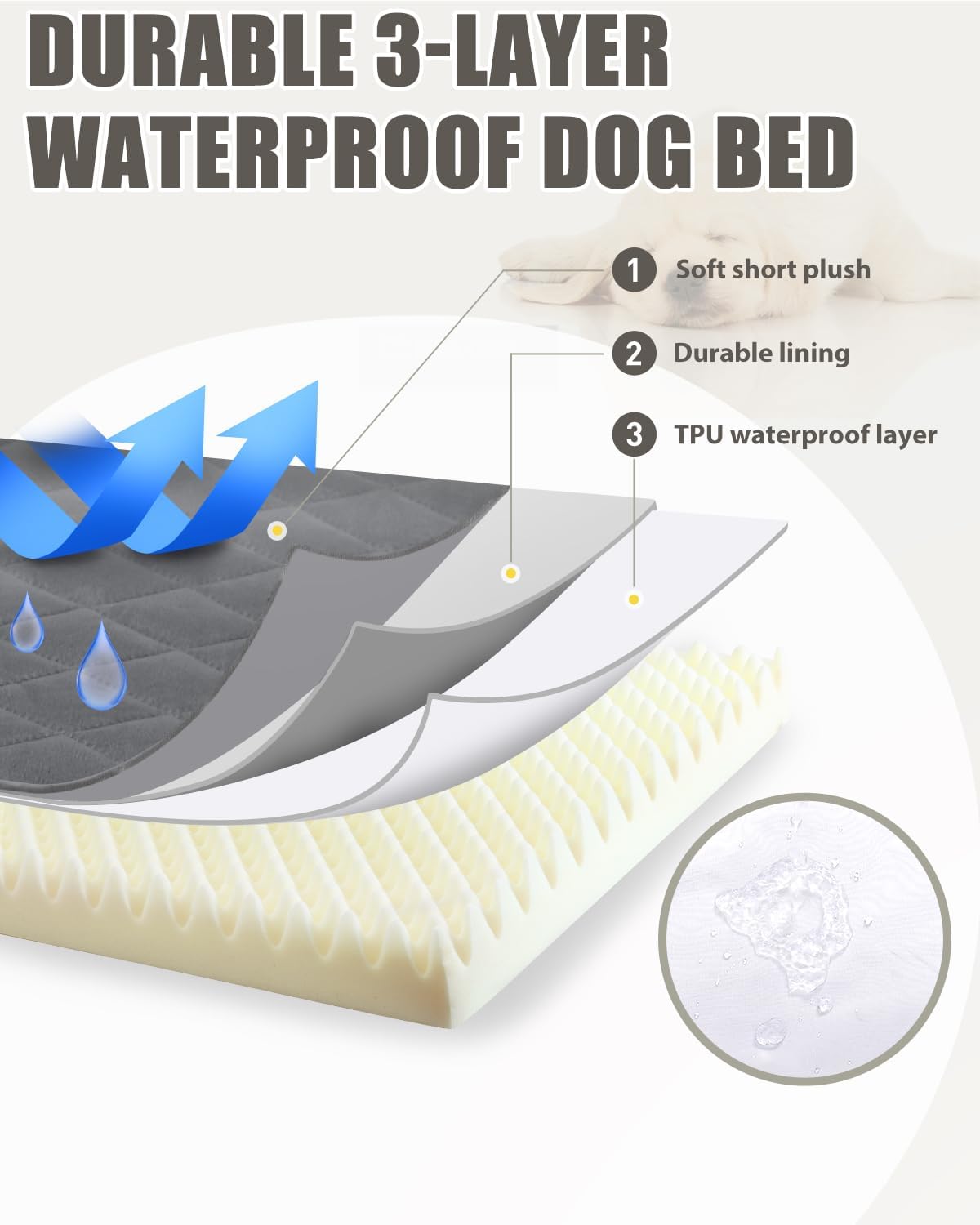 Orthopedic XL Dog Beds Large Sized with Washable Cover, 41x27 - 41.0"L x 27.0"W x 3.5"Th / Dark Gray - image 2