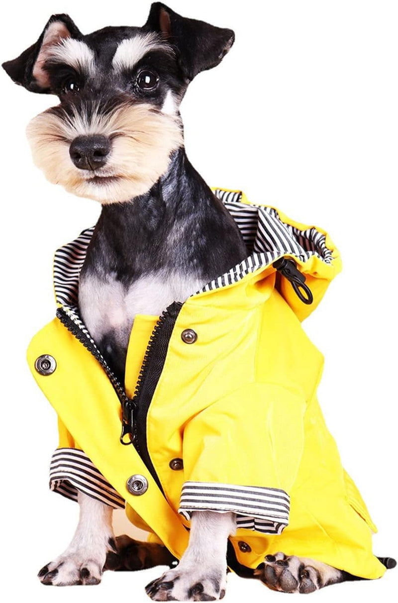 Skateboard Frog Dog Raincoat Jacket Zip up Yellow Hoodie Water - Yellow / Small
