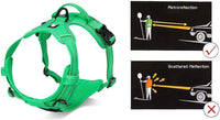 Truelove No Pull Dog Harness with Easy Control Handle and 2 Leash - X-Large / Grass Green - image 2