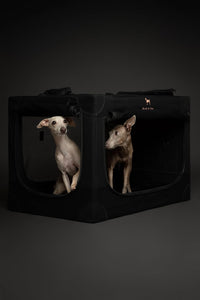 Noah & Paw XXL Collapsible Dog Crate, 42" - Black / 30.0"L x 21.2"W x 21.2"H - image 2
