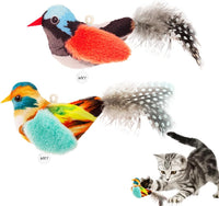 Interactive Cat Toys for Indoor Cats, Catnip and Feather - 2 Pack birds