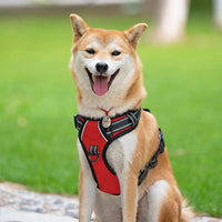 PoyPet No Pull Dog Harness, Reflective Comfortable Vest Harness with Front & Back 2 Leash Attachments and Easy Control Handle Adjustable Soft Padded Pet Vest for Small to Large Dogs (Red,L)
