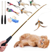 Interactive Cat Wand Toys Set, 2PCS Cat Teaser with 6 Replacement Birds, Feathers & Bells for Indoor Play