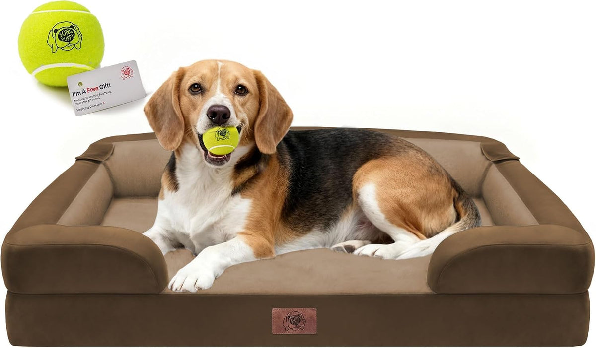 Waterproof Orthopedic Dog Bed for Extra Large Sized Dogs – Essentials for Dogs - 36 x 27 x 7.5 in / Dark Brown