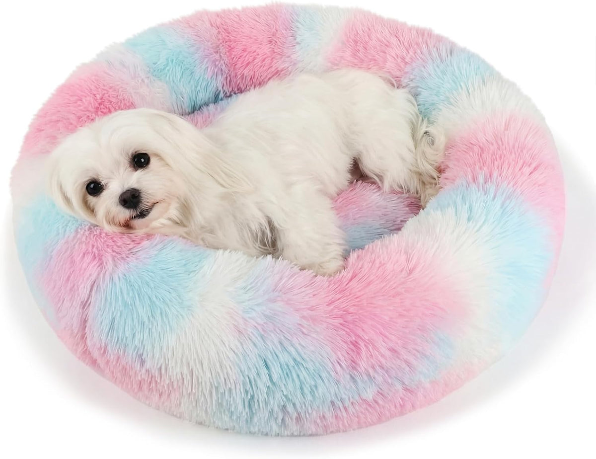 Small Calming Dogs Bed for Small Dogs Anti-Anxiety Machine Washable - Rainbow / 23 inches