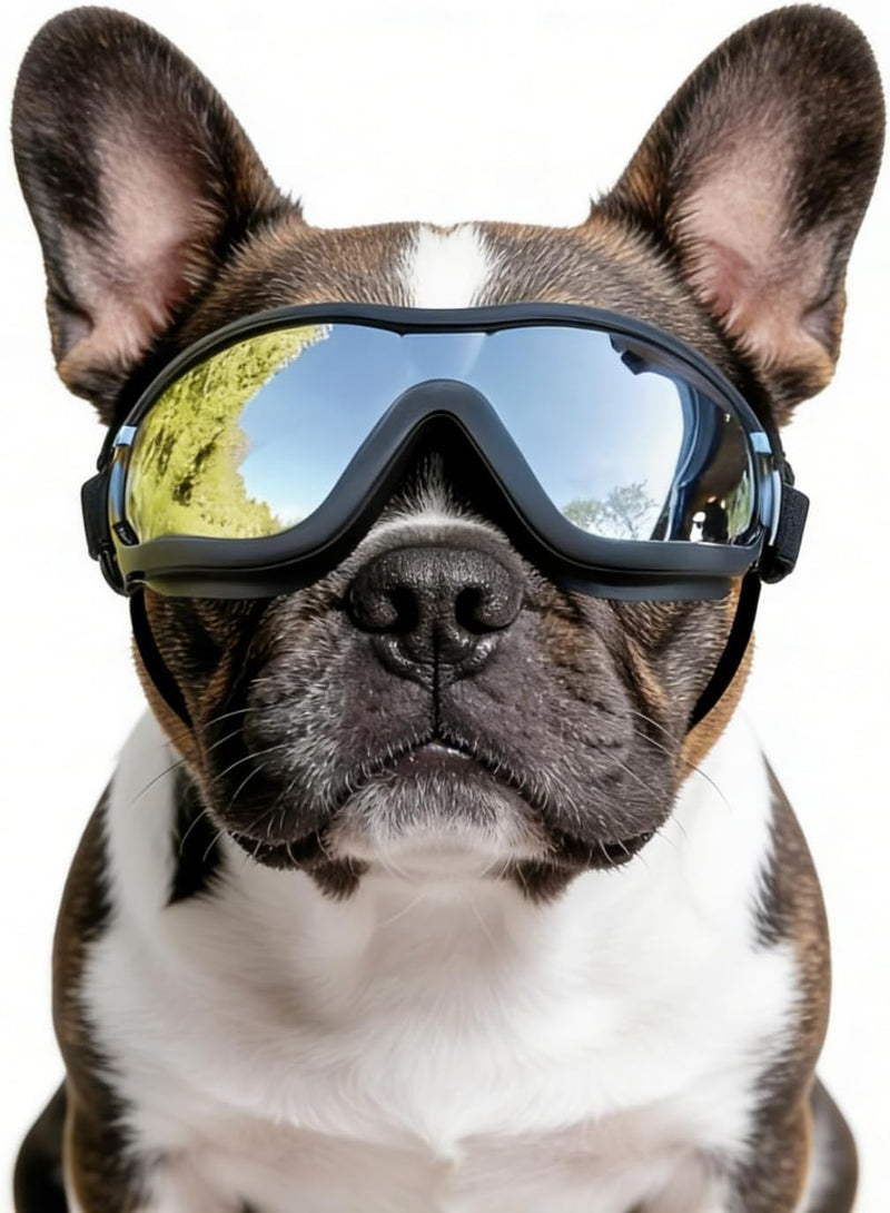 Medium Clear Dog Goggles Eye Protection - Classic Black / Medium
