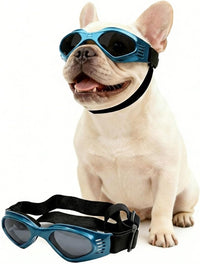 Clear Dog Goggles for Small Dogs - Fold Blue / Medium
