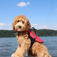 ZippyPaws Adventure Dog Life Jacket - Extra Large - image 3