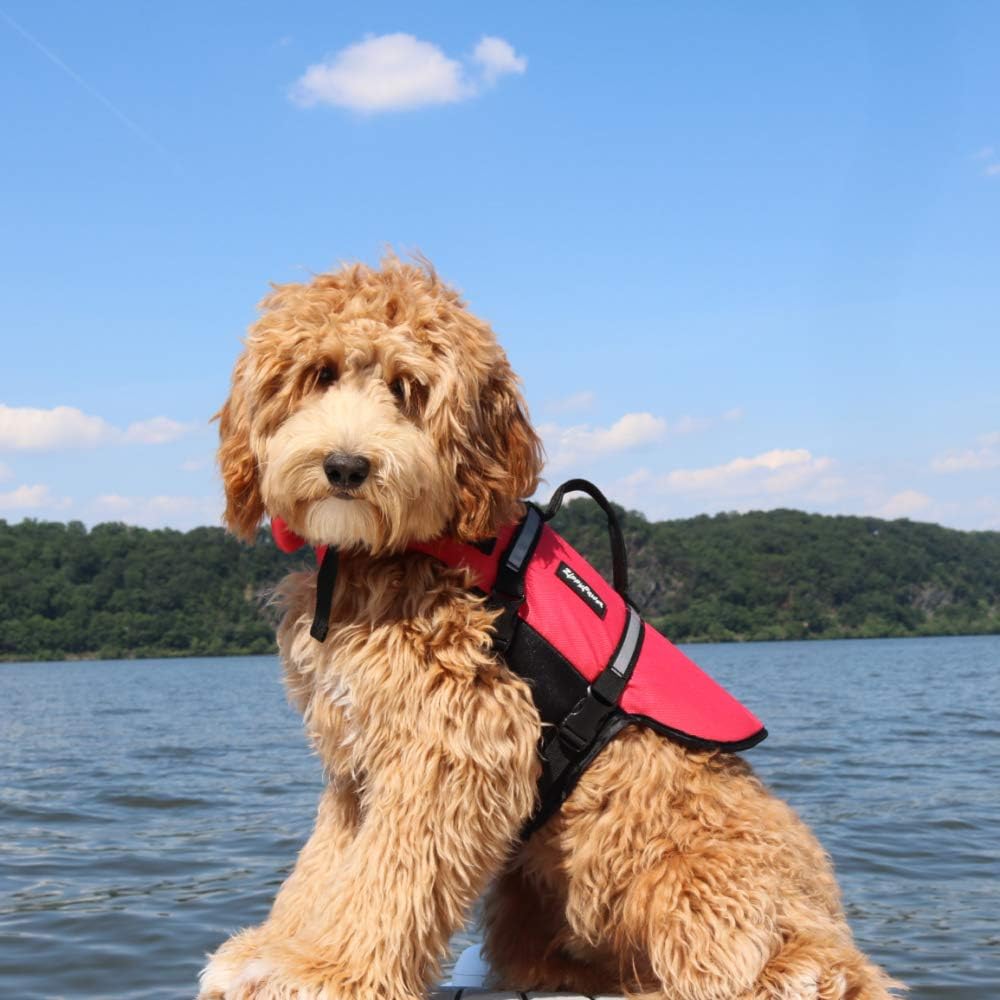 ZippyPaws Adventure Dog Life Jacket - Extra Large - image 3