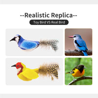 Interactive Cat Toys for Indoor Cats, Catnip and Feather - 2 Pack bird - image 4