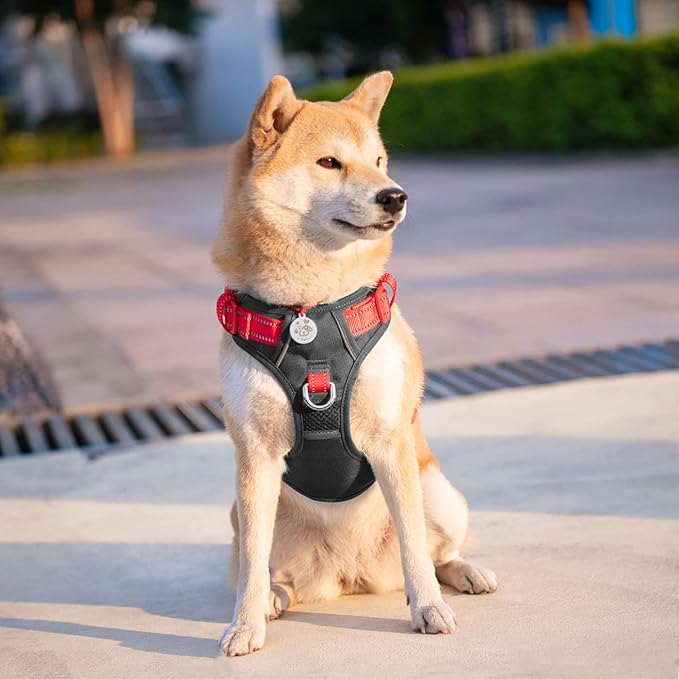 PHOEPET No Pull Dog Harness, Unique Colors Reflective Adjustable Dog Vest, with Soft Training Handle Metal Clips for Small Medium Large Dogs (Black Base & Red Straps,L)