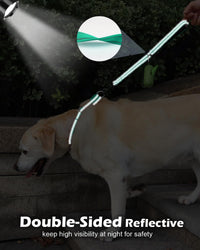 Joytale Short Dog Leash for Close Control & Training, 18" - 1.5 ft / Teal - image 2