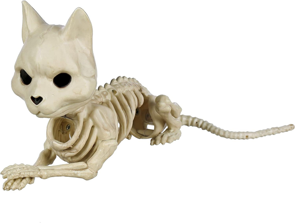 Crazy Bonez Cute Skeleton Cat – Essentials for Cats