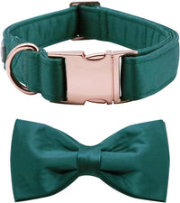 Lionet Paws Bowtie Dog Collar - X-Large (Pack of 1) / Black Green