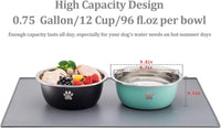 Large Dog Water Bowl 2 Pack, Aqua - Silver - 2 Pack / 0.75 Gallon - M (25- 50lb breed) - image 3