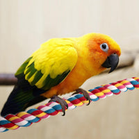 Bird Rope Perches,Parrot Toys 33 inches Rope Bungee Bird Toy[1 Pack] – Essentials for Birds - 41 inches - image 3