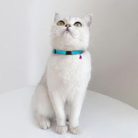 Breakaway Cat Collar Leather with Removable Bell - 13 Colors Available - Soft Adjustable Girl Boy Safety Lightweight Pet Kitten Collars Pink Brown Blue Green Red Orange Black (Cognac)