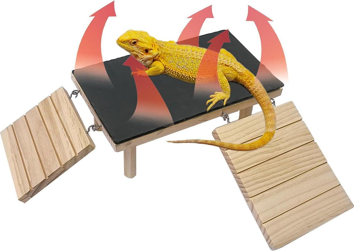 Reptile Bearded Dragon Basking Platform Rock with Climbing Ramp - L - 11.8"D x 7.9"W x 4.7"H
