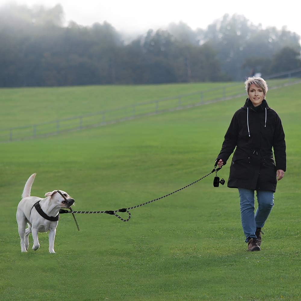 Plutus Pet Rope Dog Leash with Double Handles, Reflective - Black - image 2