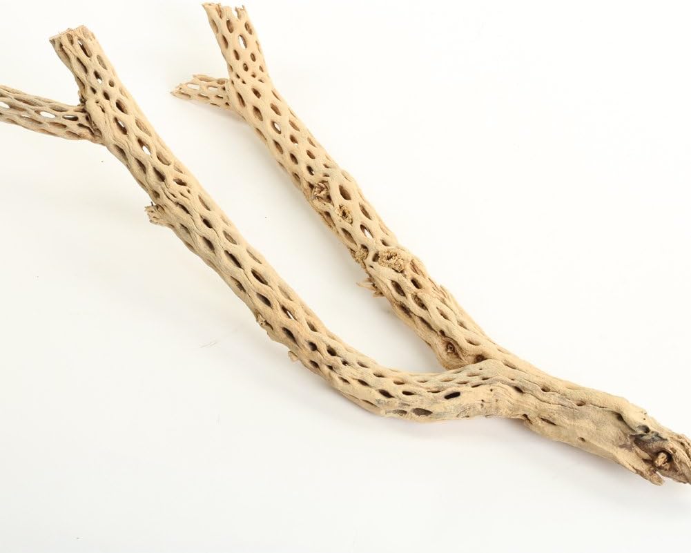 Koyal Wholesale Natural Cholla Wood Aquarium Branches - 12-Inch