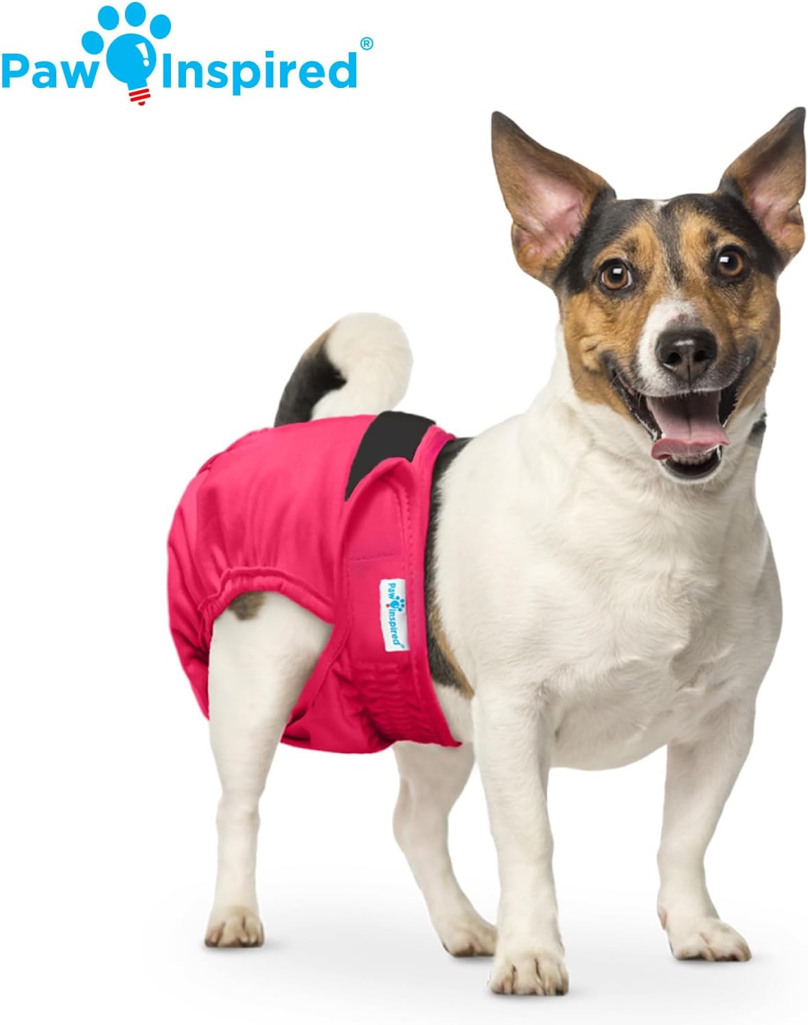 Paw Inspired Washable Dog Diapers, Assorted and White Lining - Assorted (Black Lining) / Small (3 ct.) - image 3
