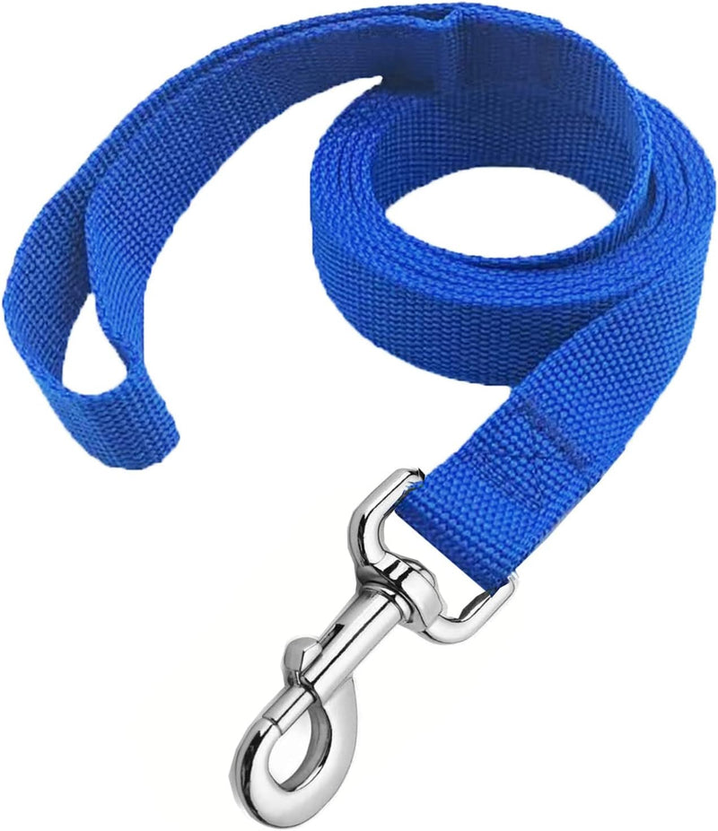 Strong Nylon Dog Leash, 5 FT Long Dog Leashes for Medium Large Dogs – Essentials for Dogs - Blue / 1" x 5FT